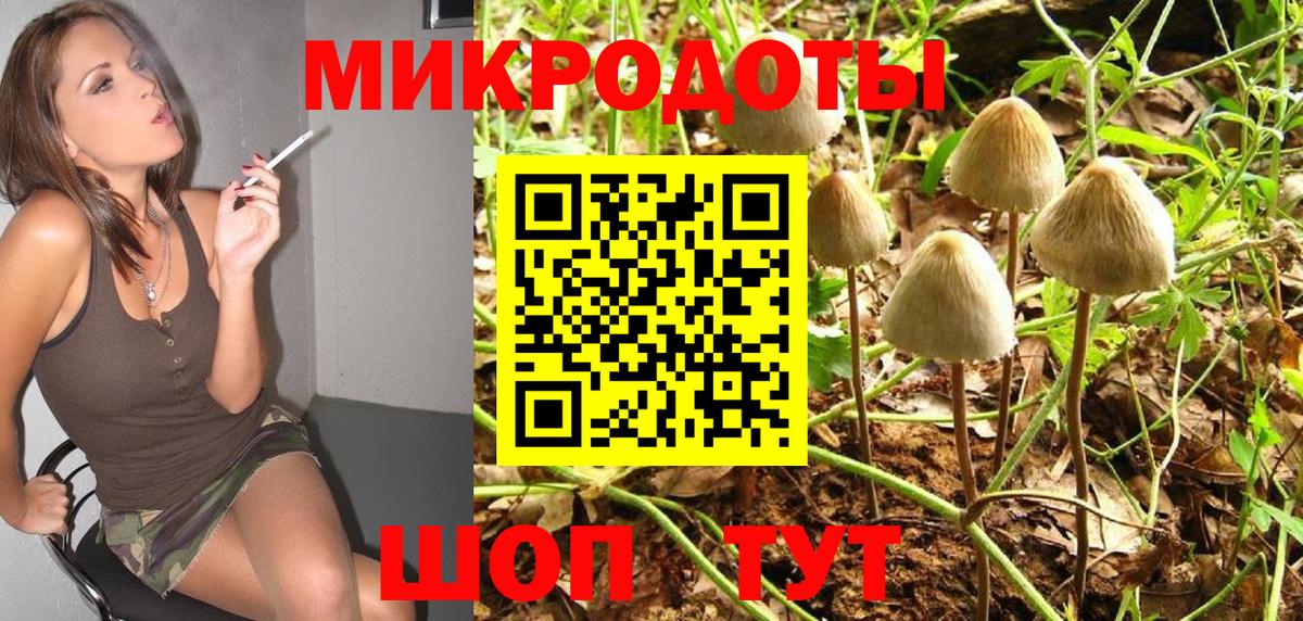 Галлюциногенные грибы Psilocybine cubensis  Вход с VPN  где можно купить   Гусь-Хрустальный 